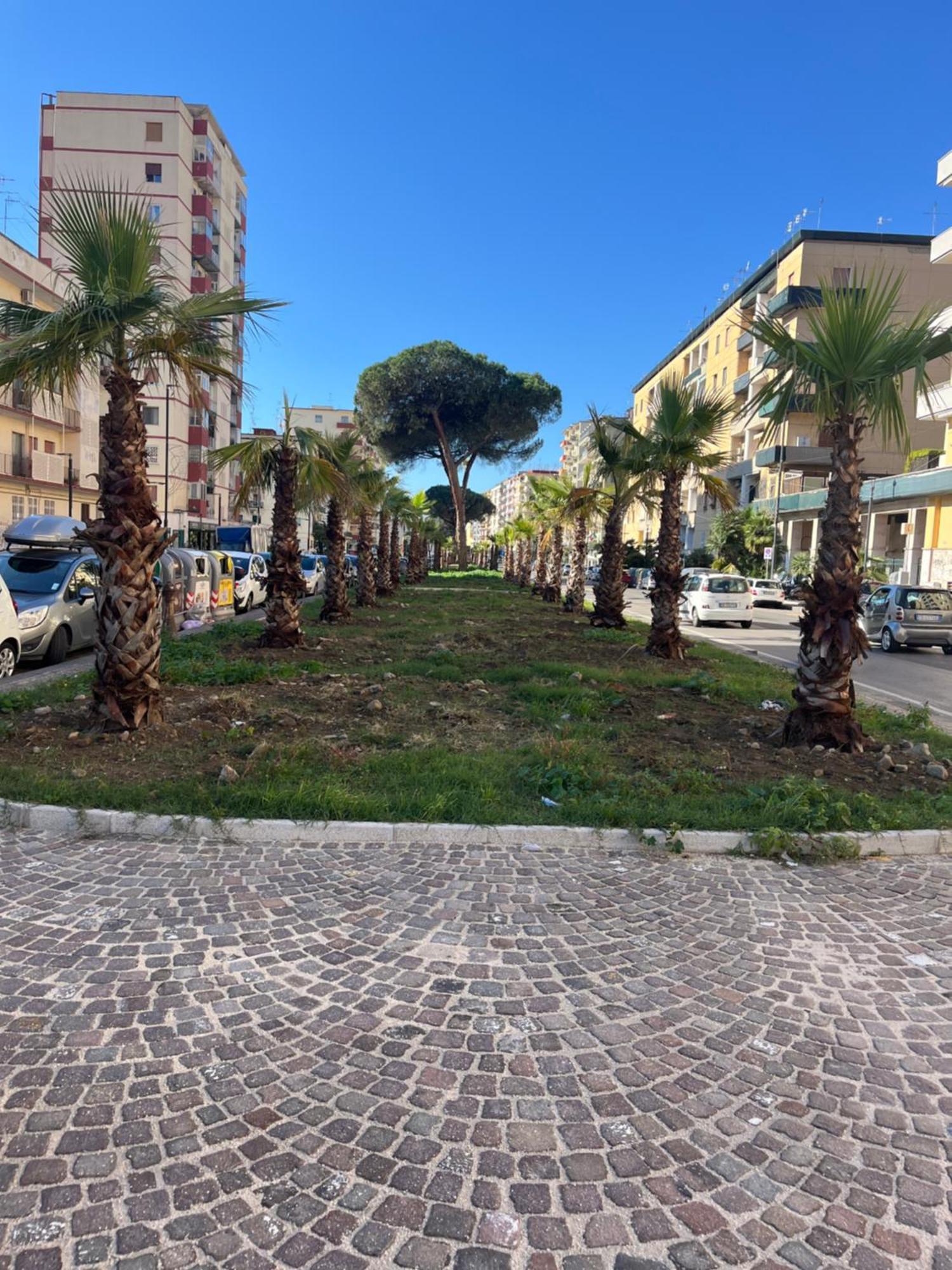 Maison Grimaldi Napoli Dış mekan fotoğraf